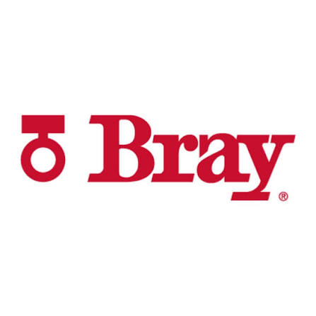 Bray International